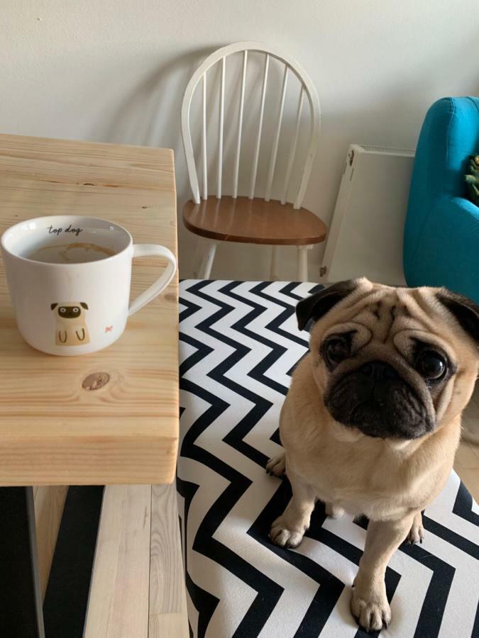 Cute Pug Guest Room Копенхаген Екстериор снимка